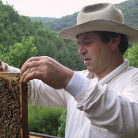Paul Jungels, Leitfaden zur Auslese von Bienenvölkern