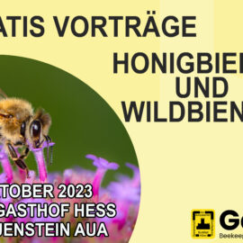Gratis Vorträge: Honigbienen und Wildbienen – Ein spannender Thementag bei der GdeB